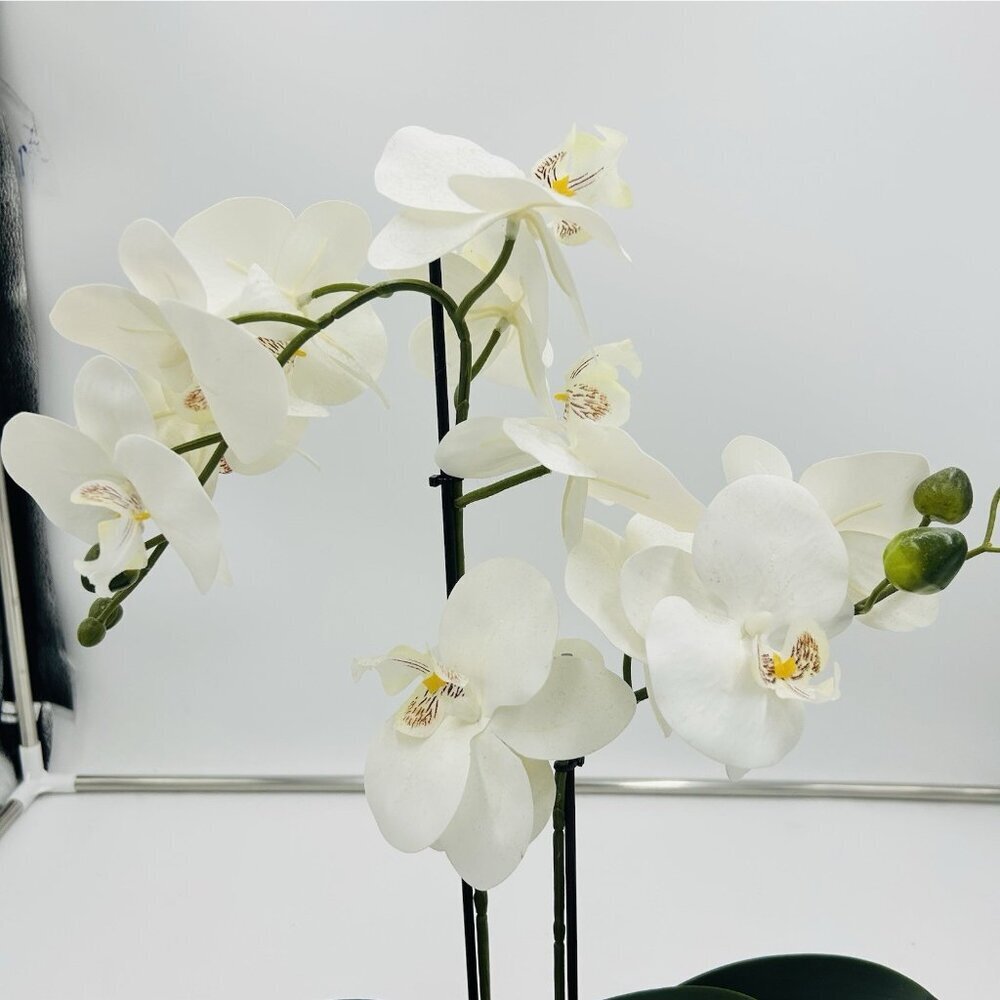 White Phalaenopsis 19" Orchid Artificial Flowers with Black Vase Arrangement - Picture 2 of 9